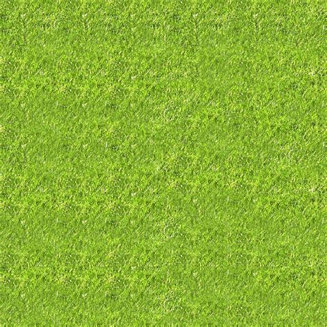 Virender Hooda Seamless Grass Texture
