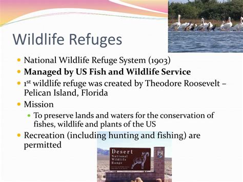 Protecting Wildlife And Environment Limitations On National Wildlife