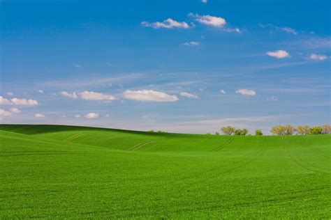 Green Grass Grassland Free Photo On Pixabay Pixabay