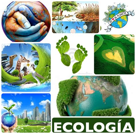 Blogg De Ecologia Ecologia