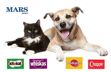 Mars Petcare Pack Of Pets