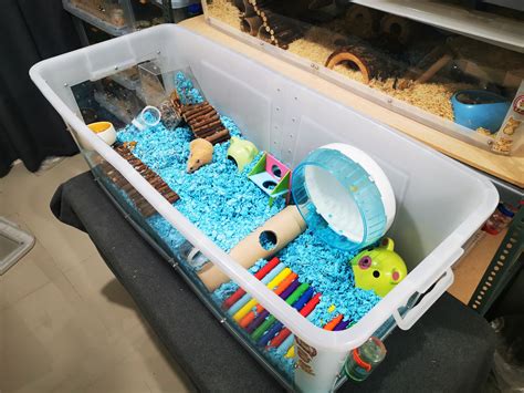 Hamster Diy Cage Hamster Stuff Plastic Bins Plastic Laundry Basket Hamsters Enclosures Bb