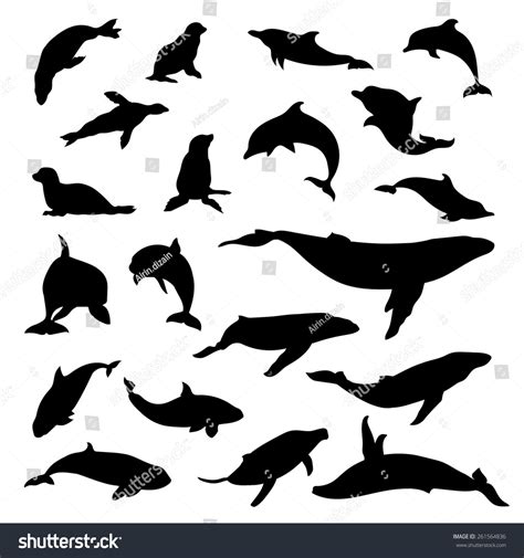 Set Of Silhouettes Marine Mammals Vector Royalty Free Stock Vector