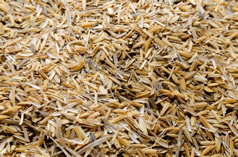 Husk — həsk n hoose <an outbreak of husk was observed in a flock of 200 sheep (veterinary bull husk — ► noun 1) the dry outer covering of some fruits or seeds. Rice husks, stalks value addition to benefit Mwea rice farmers