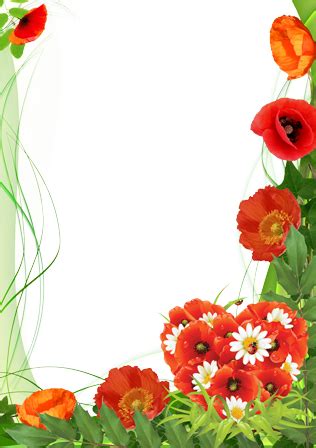 Photo frames. Poppies color of love