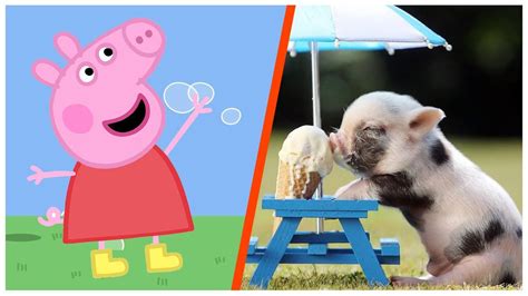5 Times Peppa Pig Characters Caught On Camera Spotted In Real Life