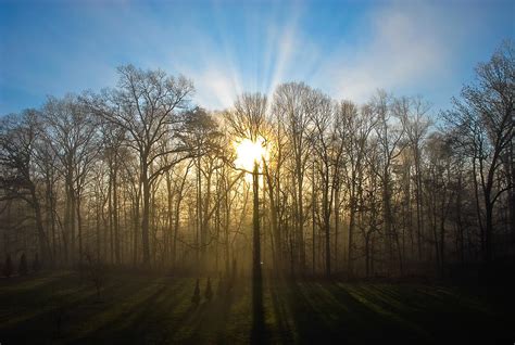 Moring Sun Photograph by Michael J Lukas