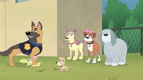A perfect match on dvd april 8th from shout! Image - Lucky and German Shepherd.png | Pound Puppies 2010 Wiki | Fandom powered by Wikia