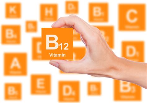 La Vitamina B12 Micronutriente Indispensable Ygua Moringa Oleifera