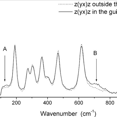 Typical Raman Spectra In The Pe Guide And Out The Guide On Surface In Download Scientific