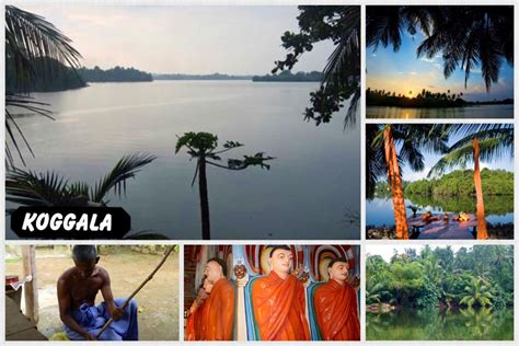 Koggala Lake Koggala Tó Sri Lanka