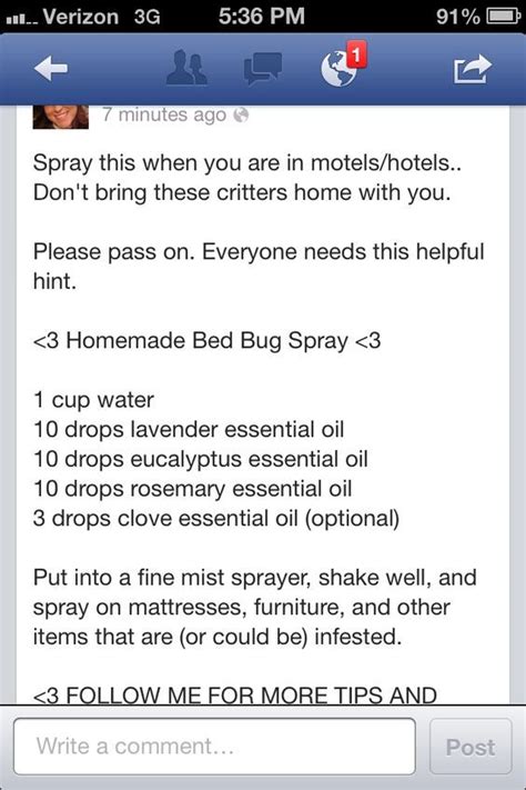 Homemade Bed Bug Spray Bed Bug Spray Bed Bugs Essential Oils Bed