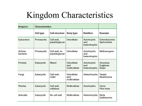 Kingdom Characteristics