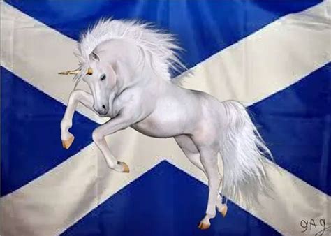 Pob On Twitter Scottish Unicorn Scotlands National Animal Scotland