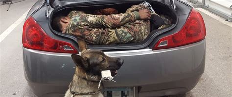 He consented to a search that resulted in the seizure of about 50. Border Patrol K9 alerts agents of 2 Mexicans smuggled into ...