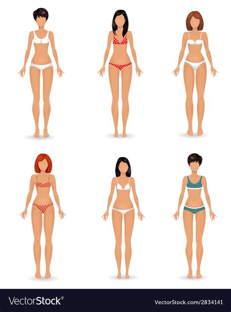 Collection Female Body Template Royalty Free Vector Image
