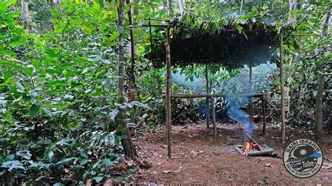 Survival Challenge Rainforest Rope Rainforest Hut Ep 1 Youtube