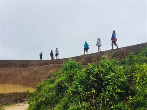 Temukan tempat wisata favorit di klaten, jawa tengah. Glamping; Wisata Hutan Adat Kasepuhan Karang - Rimbawan Muda Indonesia