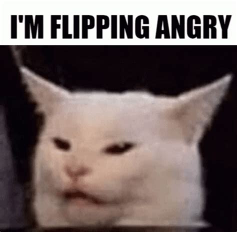 Angry Cat Shaking Rage Funny Meme GIF GIFDB Com