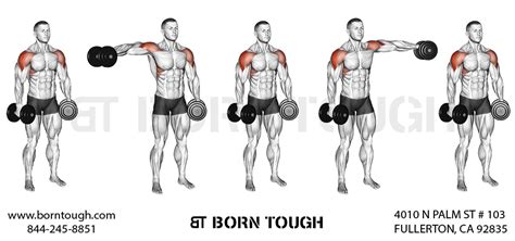 Best Dumbbell Workout To Train Your Deltoids Born Tough