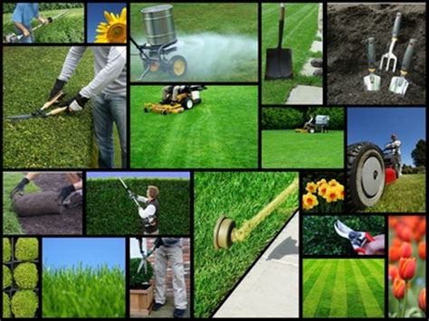 World of lawn care.com has a seasonal lawn care guide that customers can sign up for and receive helpful advice that will allow them to keep their lawns looking great all season long. Lawn Care Tips | Do It Yourself Tips and Advice