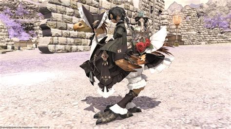 Chocobo Armor Abigail Barding In Chic And Cute Maid Clothes Norirow