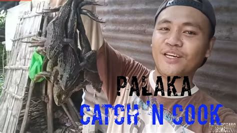 Ep01 Pamimingwit Ng Palakang Bukid Catch N Cook Buhay Probinsya