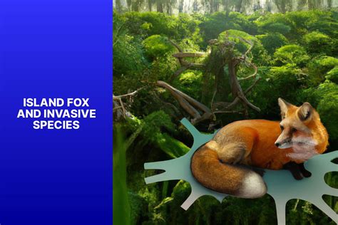 Protecting Island Foxes Managing The Threat Of Invasive Species