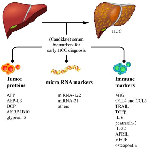 Cancers Free Full Text Serum Biomarkers For The Prediction Of