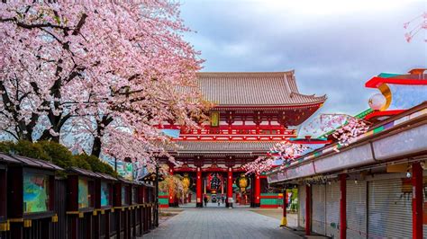 Top 10 Temples In Japan Travel Guide Enchanting Travels