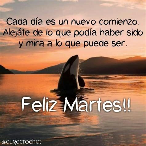 Pin de Elia Gutiérrez en Imágenes Saludos de jueves Feliz martes