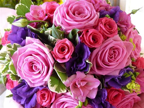 Fondos De Pantalla Ramos Rosas Rosa Color Flores Descargar Imagenes