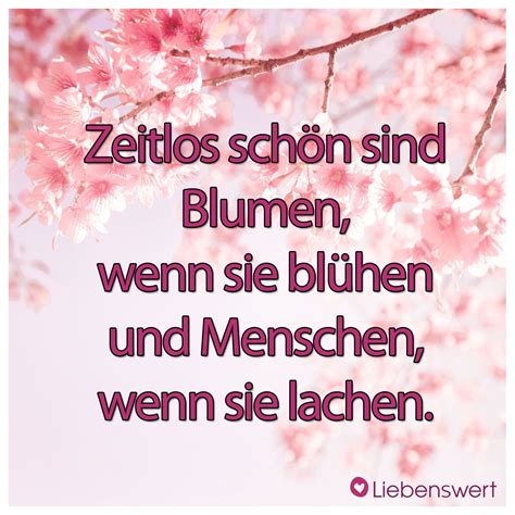 Menschenleben und beziehungen sind wie blätter, die lautlos zu boden fallen. Inspirierende Sprüche über das Leben | Inspirierende ...