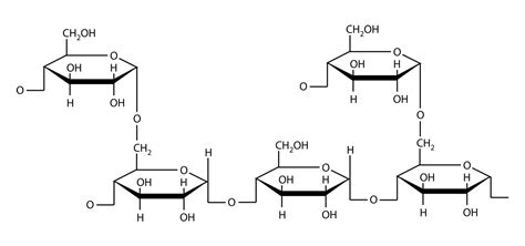 Estructura Quimica De Los Carbohidratos Monosacaridos Varias Estructuras