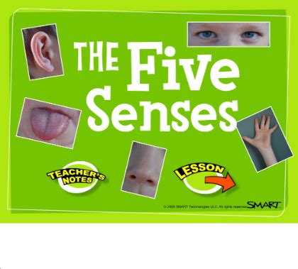 These cool kindergarten science experiment ideas can be done indoors and outdoors and will assimilate fine motor and observational skills in kids. The Five Senses: free smartboard lesson | Senses preschool ...