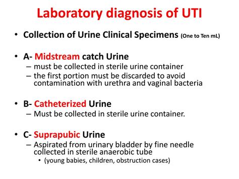 Ppt Urinary Tract Infection Uti Powerpoint Presentation Free Download Id2101291