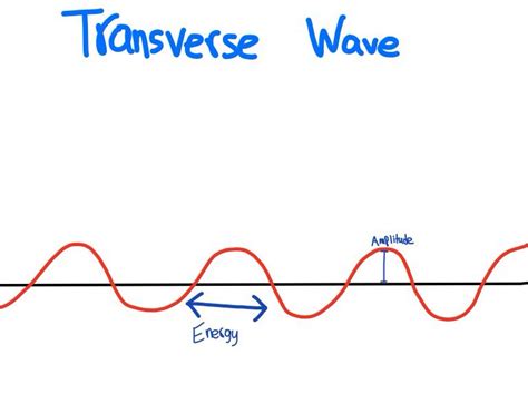 In Transverse Waves The Energy Goes Both Ways And Goes Side To Side