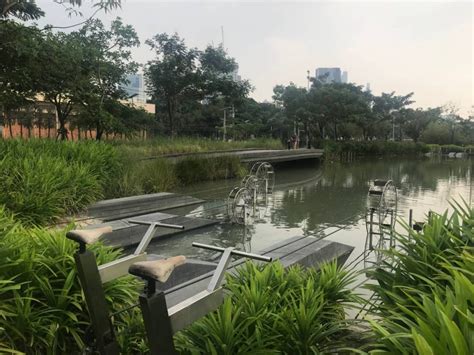 Flash floods are a sudden increase in the depth and speed of water in rivers, streams, or washes due to heavy rain from thunderstorms. Bangkok Fights Floods With Thirsty Landscaping - FloodList