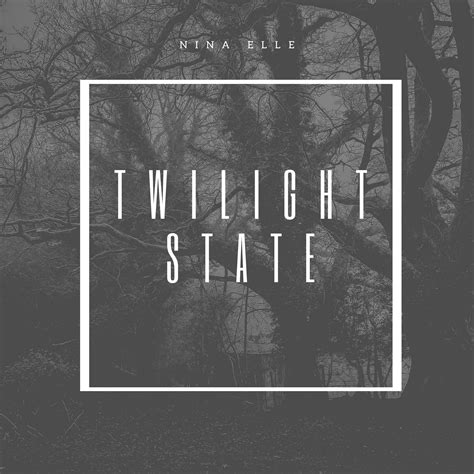 Twilight State By Nina Elle Free Download On Hypeddit