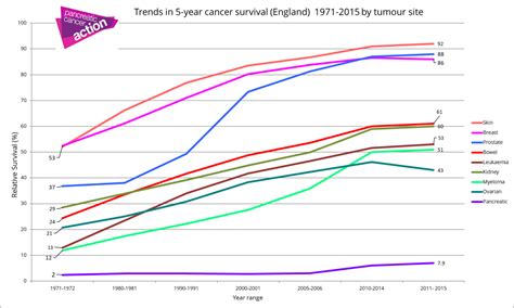 Pancreatic Cancer Survival Rates Now Almost 8 Pancreatic Cancer