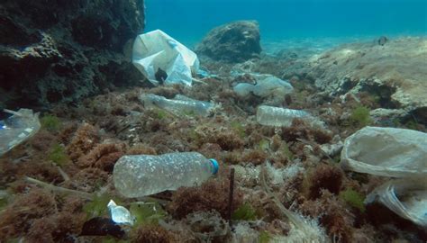 Hvor Mye Plast Er Det I Middelhavet