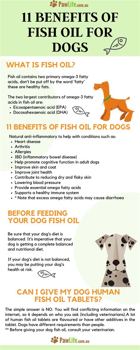 Fish oil for cats has also been found to be highly effective in aiding in improved heart health. 11 Benefits Of Fish Oil For Dogs - Paw Life | Fish oil ...