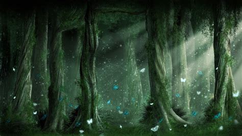 Bosque De Noche Fantasy Forest Forest Background Magic Forest