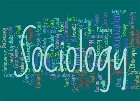 Relevance Of A Sociology Degree Distance Learning Systems Dlsi