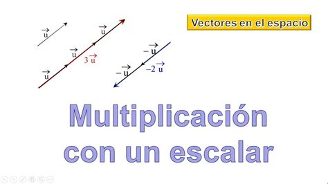 Ejemplos De Multiplicacion De Vectores Por Escalar Unsplassh