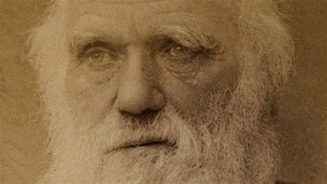 La Biografia De Charles Darwin Resumen Para Niños Educación Para Niños