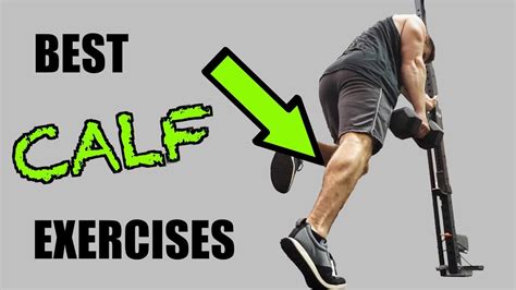 Best Calf Muscle Exercises Online Degrees