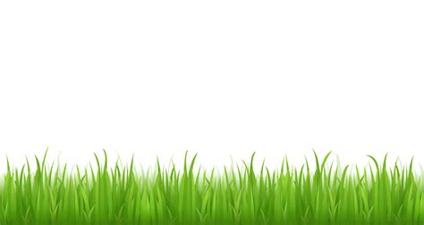 Grass Clipart PNG Picture for bottom design