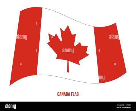 Canada Flag Waving Vector Illustration On White Background Canada