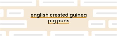 English Crested Guinea Pig Puns Best English Crested Guinea Pig Puns